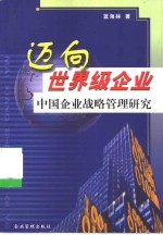 迈向世界级企业  中国企业战略管理研究