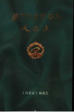 深圳市荣誉市民风采录  第2卷
