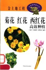 菊花  红花  西红花高效种植
