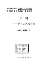 大捷  台儿庄战役实录