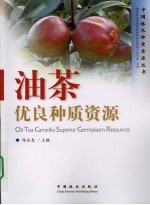 油茶优良种质资源