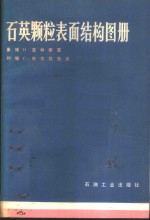 石英颗粒表面结构图册