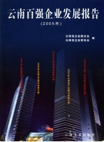 云南百强企业发展报告  2005年
