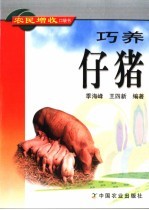巧养仔猪