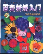 百变折纸入门  无师自通学折纸