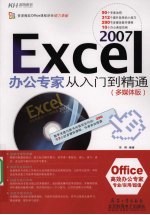 Excel 2007办公专家从入门到精通  多媒体版