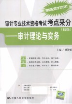 审计专业技术资格考试考点采分  初级  审计理论与实务