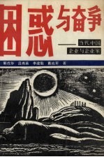 困惑与奋争  当代中国企业与企业家