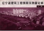 辽宁省建筑工程预算实物量定额  下