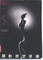 摄影技艺手册