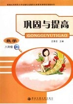 巩固与提高  数学  八年级  上