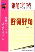 钢笔规范正楷字帖  好词好句