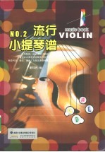 流行小提琴  2