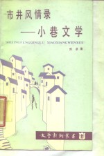 市井风情录  小巷文学