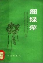 细绿萍
