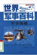 军事领袖  下