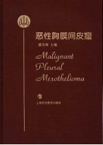 恶性胸膜间皮瘤