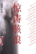 惊涛骇浪