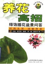 养花高招  绿饰插花盆景问答