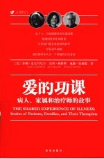 爱的功课  病人、家属和治疗师的故事
