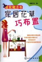家居花草巧布置