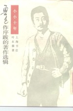 小小十年  长篇小说
