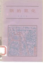 钢的氮化