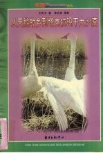 从天鹅故乡到塔克拉玛干大沙漠