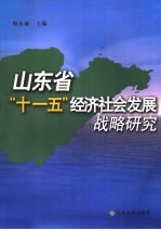 山东省“十一五”经济社会发展战略研究