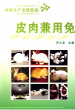 动物生产流程图谱  皮肉兼用兔