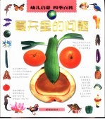 夏天里的问题