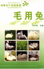 动物生产流程图谱  毛用兔
