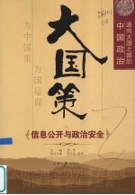 大国策  通向大国之路的中国政治  信息公开与政治安全