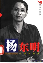 杨东明小说自选集