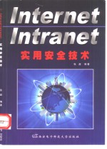 Internet/Intranet实用安全技术