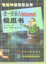 进一步深入Internet傻瓜书