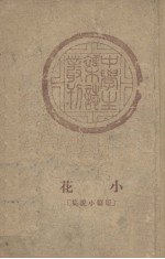 小花  短篇小说集