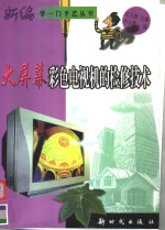大屏幕彩色电视机的检修技术
