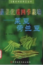 蔬菜优质四季栽培  菜豆  荷兰豆