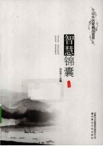 智慧锦囊