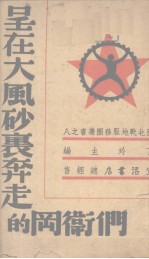 呈在大风砂里奔走的岗卫们