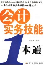 会计实务技能一本通