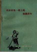在农业第一线上的知识青年
