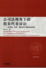 公司法视角下的股东代表诉讼