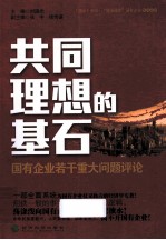 共同理想的基石  国有企业若干重大问题评论