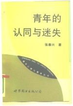 青年的认同与迷失