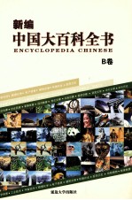 新编中国大百科全书  B卷  图文版  宇宙空间
