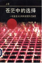 苍茫中的选择-社会主义公有制实现形式探索  上