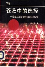 苍茫中的选择-社会主义公有制实现形式探索  下