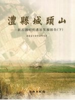 澧县城头山  新石器时代遗址发掘报告  下